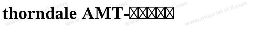 thorndale AMT字体转换